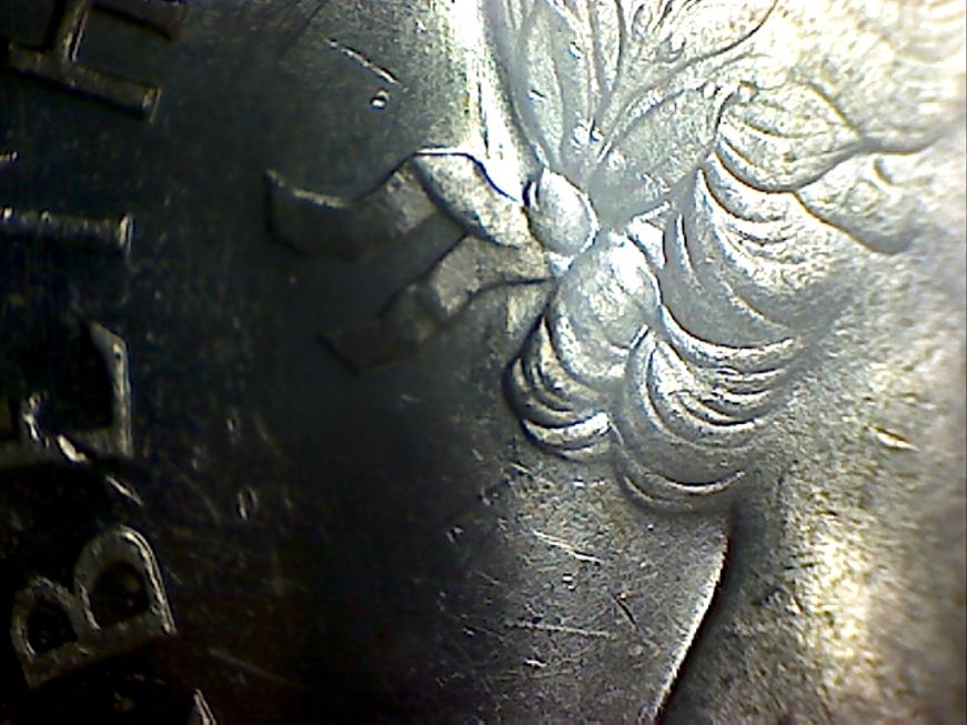 Latest-50-Cent-Finds